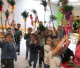 IMG_7349_original.jpg_neu_original