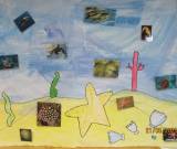 IMG_7446_original.jpg_6_original